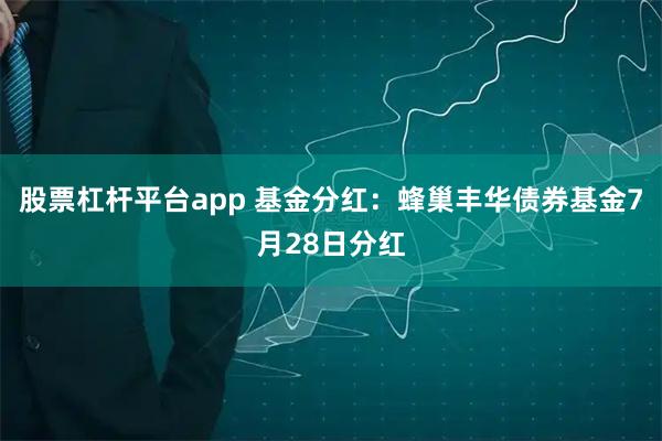 股票杠杆平台app 基金分红：蜂巢丰华债券基金7月28日分红